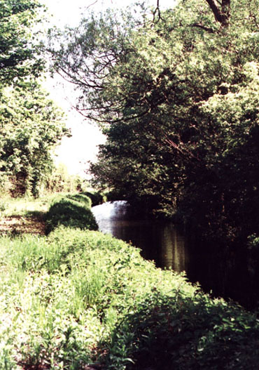 The Muckfleet at Stokesby