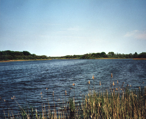 Rollesby Bridge