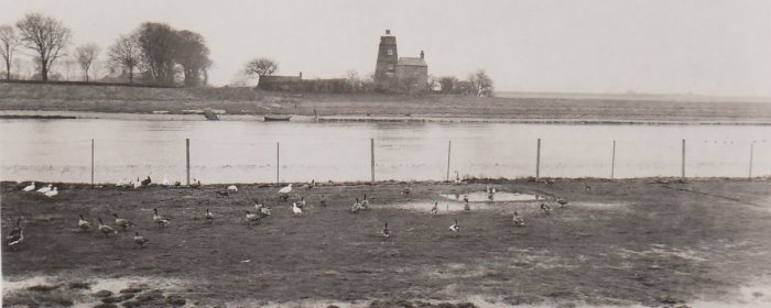 East Bank Lighthouse