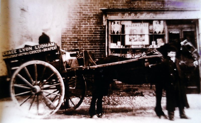 Grace
                      Lyon's cart