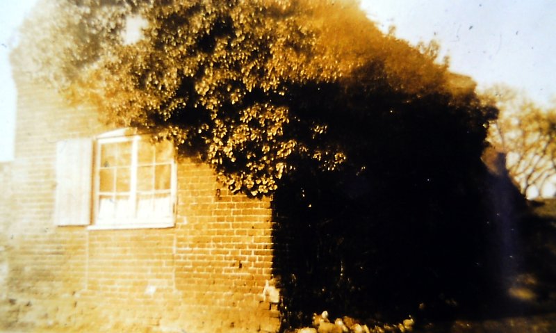 Hilda
                      Brooks' cottage