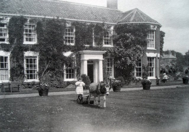 Mowing the lawn