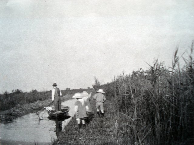 Reedham Marshes