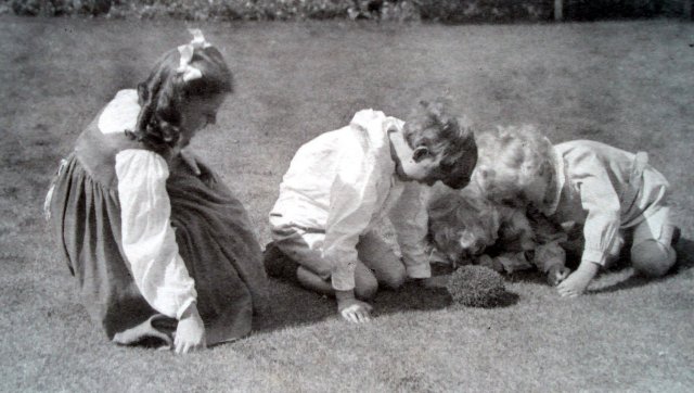 the children find a
                hedgehog