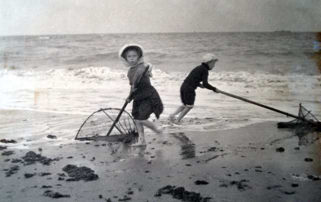 Nets
                    at Hunstanton