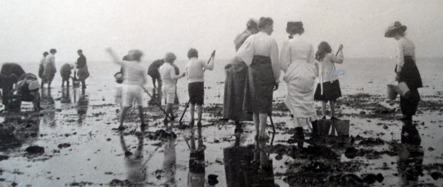 Paddling among the
                    cockles