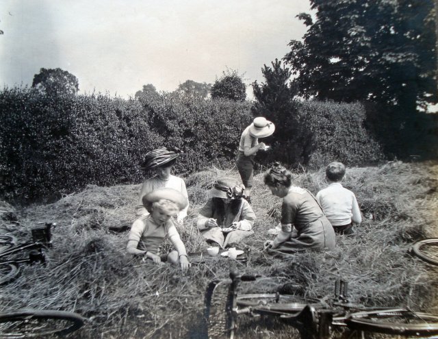 Picnic