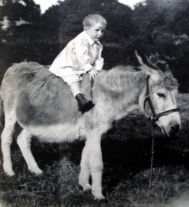 Michael on donkey