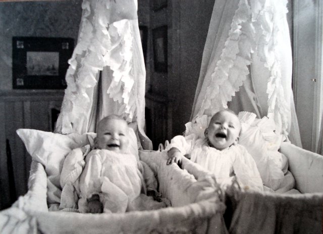 The cots