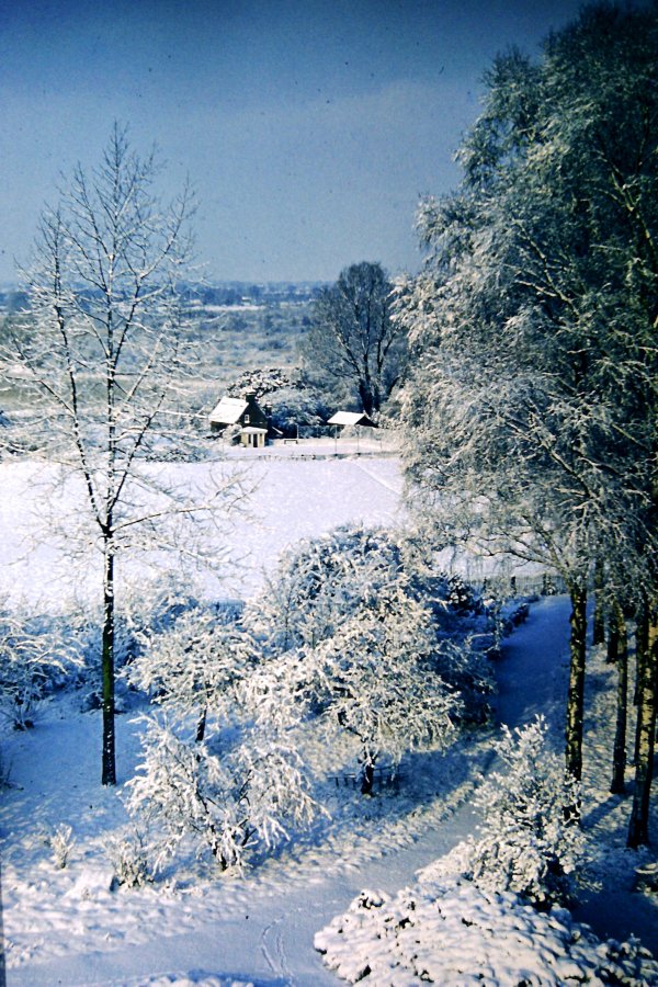 view
                    from house winter 62