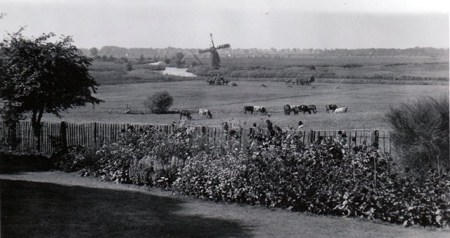 view from house