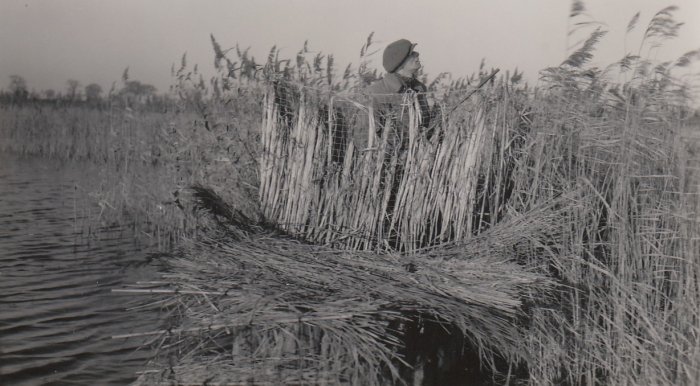 In a hide