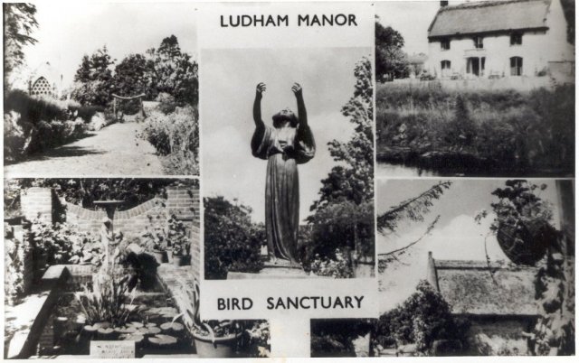 Bird sanctuary card