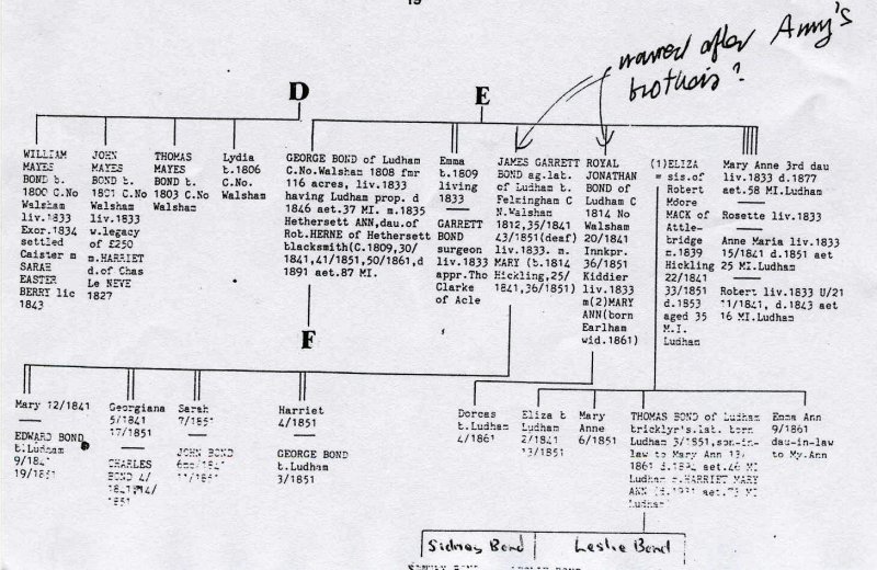 Bond tree