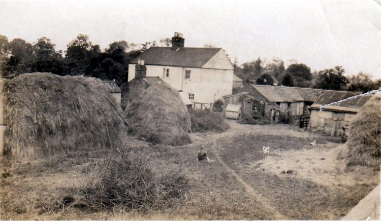 Rice cottages