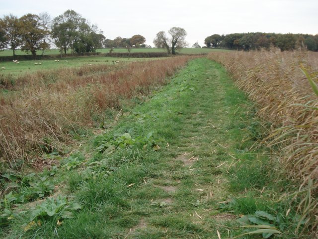 path